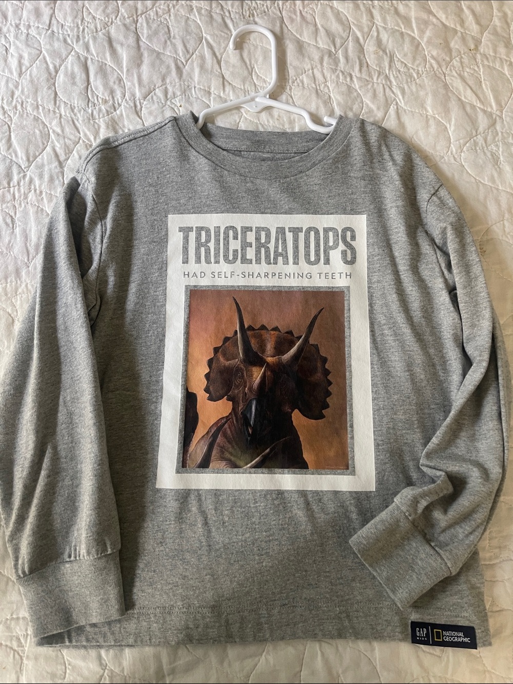GAP Gray Triceratops Graphic Sweatshirt